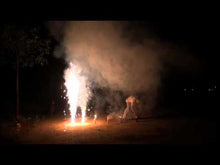 Load and play video in Gallery viewer, (NEW) SILVER Selection Box - 21 Fireworks